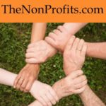 the non profits